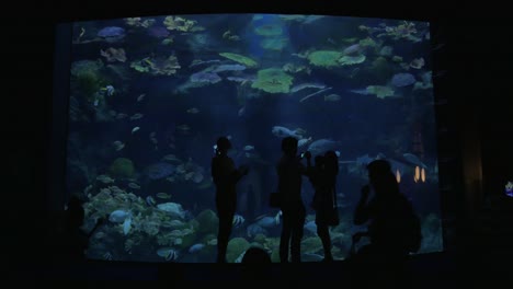 Personas-Visitando-El-Oceanario