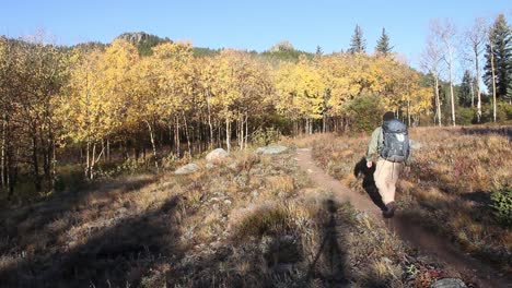 A-backpacker-walks-away-from-the-camera-along-a-trail-with-fall-aspen-leaves-in-the-background