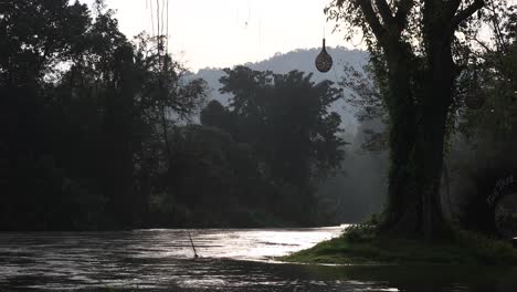 4k of a river flowing surrounded by woodland during a morning sunrise in phectahaburi, thailand
