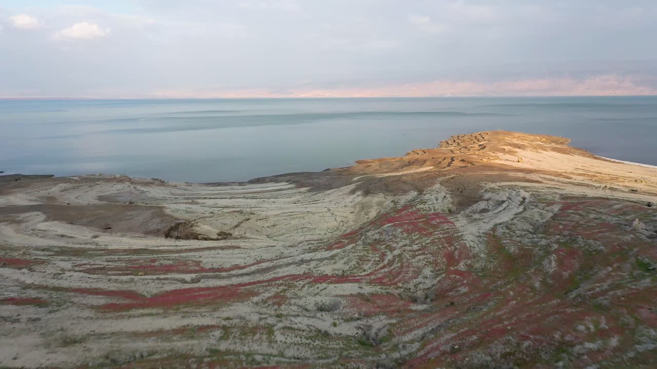 vuelo aéreo sobre mujer y niño de pie en el desierto floreciente rojo, blanco, flores verdes, fondo mar muerto