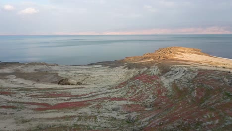 Vuelo-Aéreo-Sobre-Una-Mujer-Y-Un-Niño-Parados-En-El-Floreciente-Desierto,-Flores-Rojas,-Blancas-Y-Verdes,-Fondo-Del-Mar-Muerto