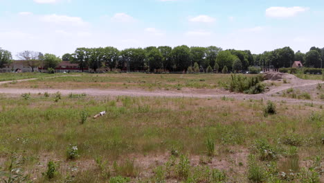 drone view of a undeveloped wasteland full of weeds, grass and sand, shot from behind a bush