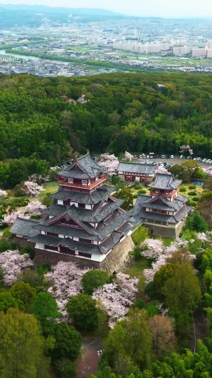 Góc máy trên không thẳng đứng của Lâu Đài Fushimi, phong cảnh núi non Kyoto mùa xuân từ trên không trong mùa hoa anh đào Sakura