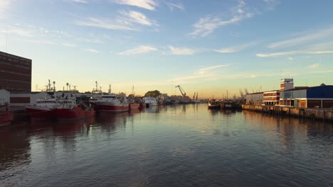 buenos aires port activity, industrial ships and cranes at dusk