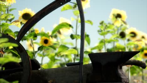 Antiguo-Campo-De-Guadaña-Y-Girasol-De-Estilo-Vintage