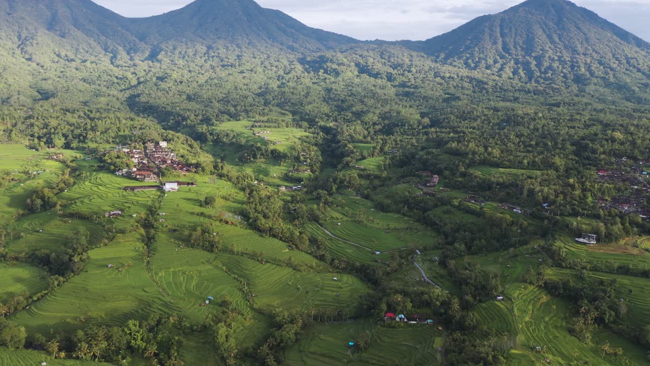 Endless rice terraces in Bali