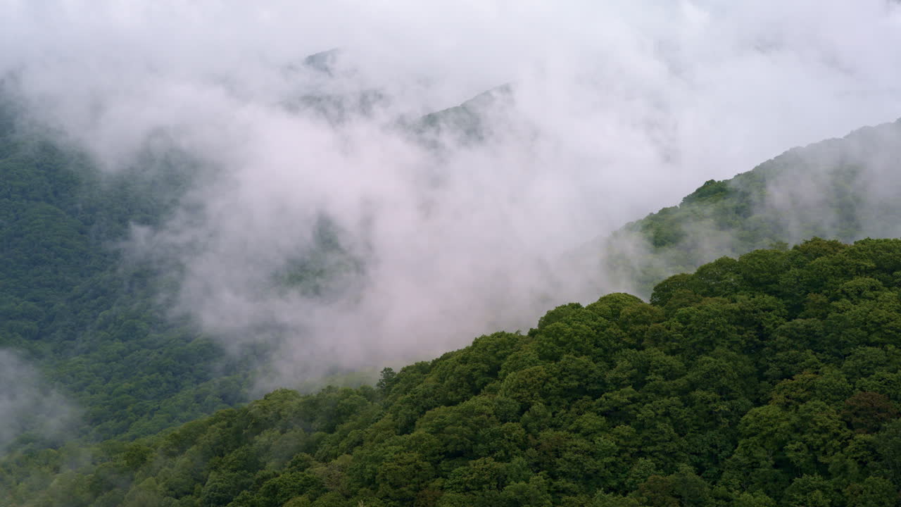 Smoky Mountains cloaked in morning fog from a drone’s eye