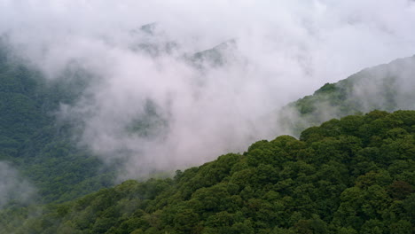 smoky mountains cloaked in morning fog from a drone’s eye