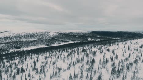 flying over a forrest in the swedish mountains on a cold winters day