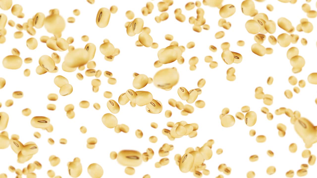 색 배경에 많은 콩을 날아. 밝은 갈색 곡물. 콩과 콩. 건강한 음식. 콩이 회전하는 3d 루프 애니메이션.