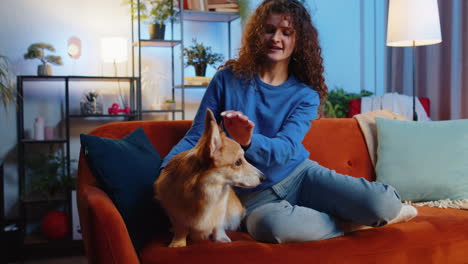 Woman-caressing-cute-pet-corgi-dog-relaxing-on-comfortable-sofa-in-living-room-at-home-apartment