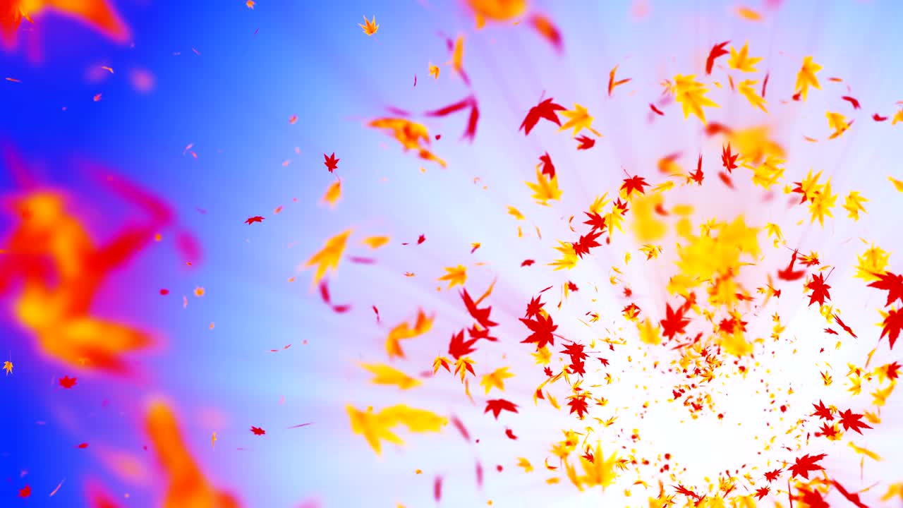 다채로운 메이플과 잎에서 나온 소용돌이, 가을 잎의 나선형 반이는 입자, 춤추는 잎, 다채로운 자연 터널 루프 애니메이션.
