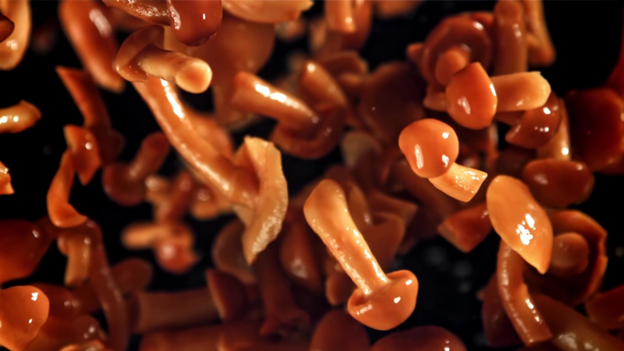 Fresh Honey Mushrooms Floating in Slow Motion on Black Background