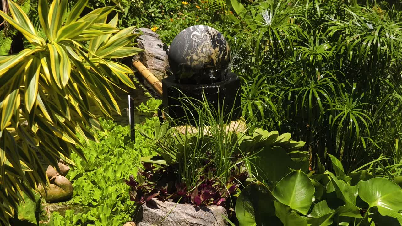 Tropical Garden with Water Feature