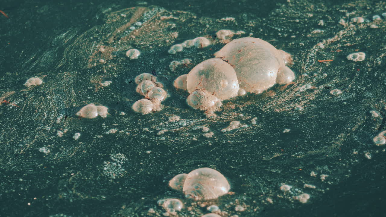 Close up shot of contaminated seawater with clusters of foam and oily bubbles drifting across the surface