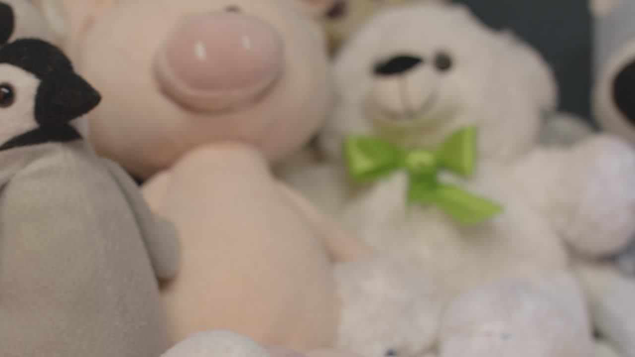 부드러운 장난감 컬렉션