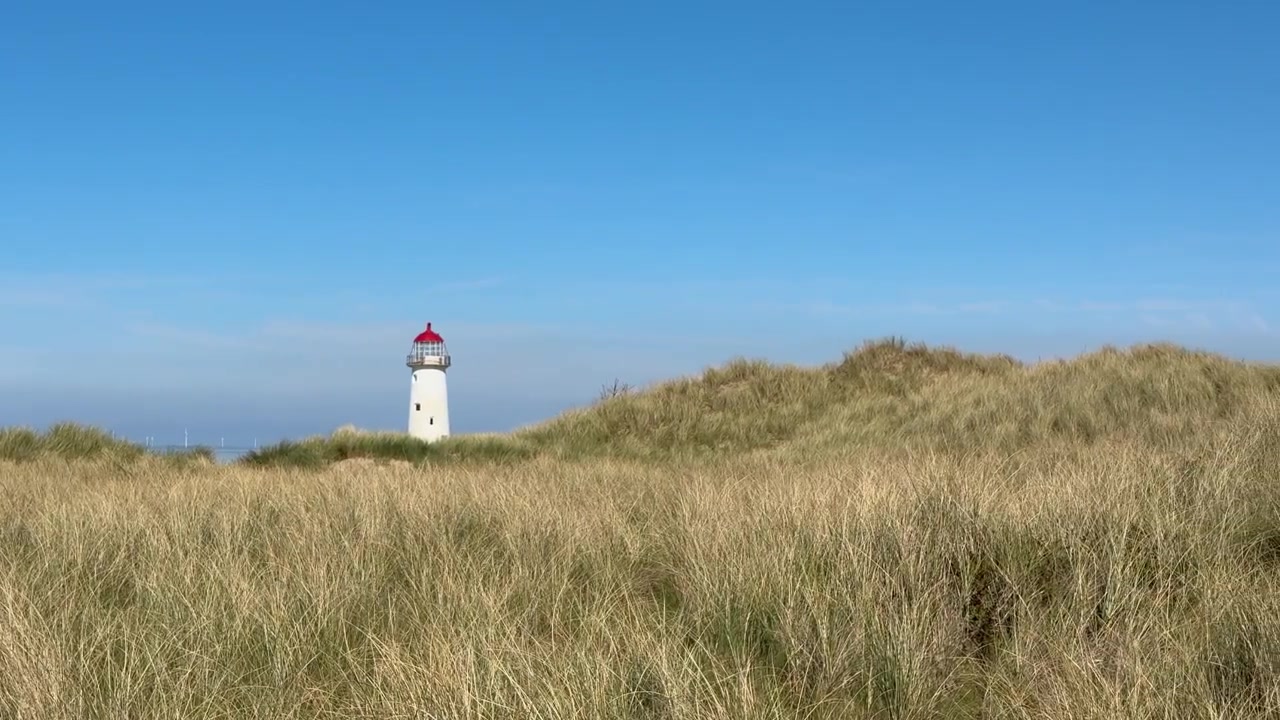 Et hvidt fyrtårn med rød top står bag gyldent strandgræs og klitter under en klar blå himmel, med fjerne vindmøller synlige
