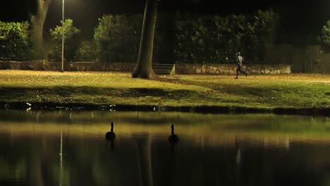 city park illuminated at night with swans and man jogging along quiet path