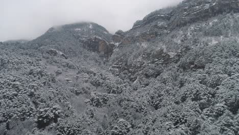 schneebedeckter bergwald