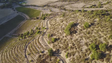 aerial of winery hills in the colchágua valley, chile