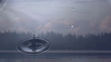 creating ripples, water droplets fall on serene lake with distant tree line