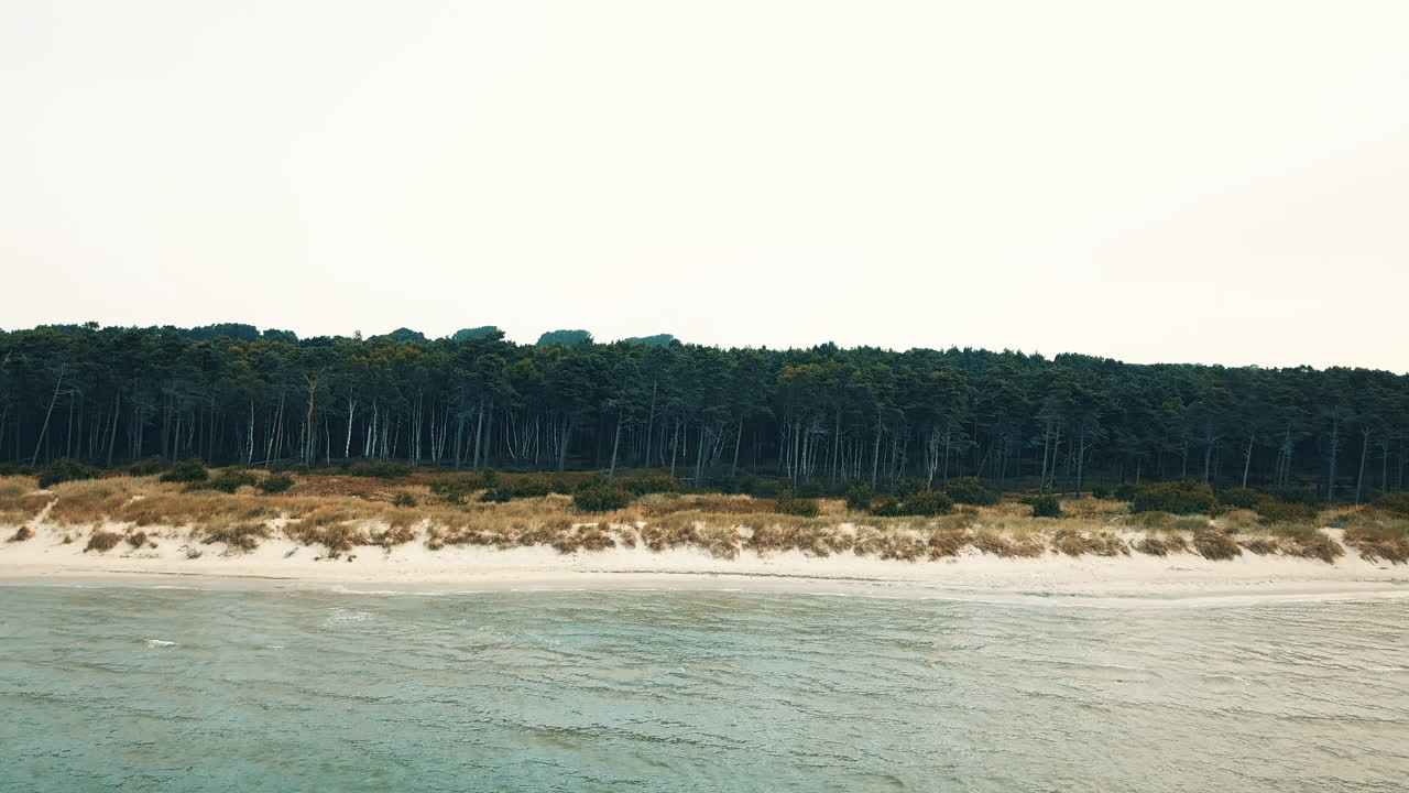 drohne fliegt von der ostsee in richtung wald an der küste in schweden