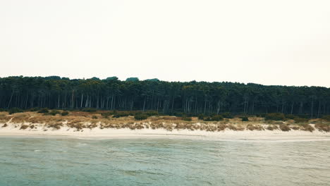 drone flying from the baltic sea towards the forest at the coast in sweden