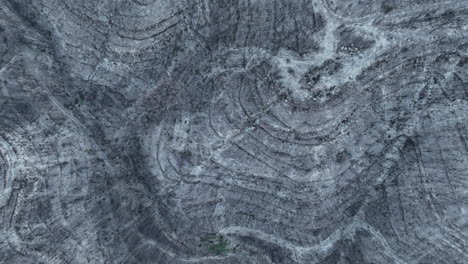 Top-down-View-Of-Burned-Forest-With-Trees-And-Ashes-On-The-Ground---Forest-fire-nature-disaster-in-El-Pont-de-Vilomara,-Spain---drone-shot