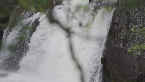 una cascada en el bosque de verano