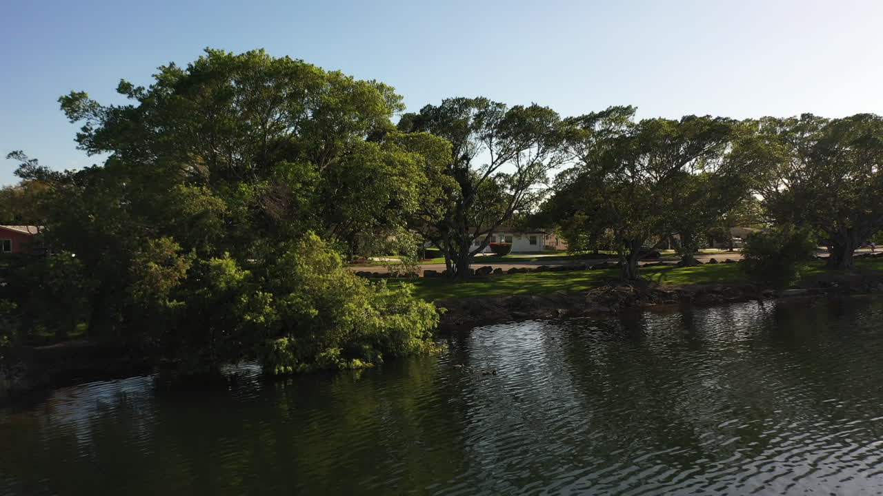 volando sobre un estanque