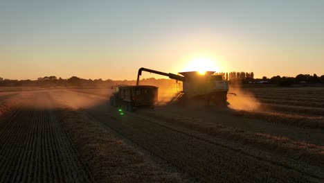 Cinematic-sunset-aerial-arc-of-combine-harvesting,-transfers-grain-to-tractor