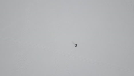 single person snowshoeing on a frozen lake in ely, minnesota