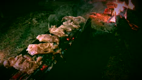 fire meat on grille in camp in forest on night