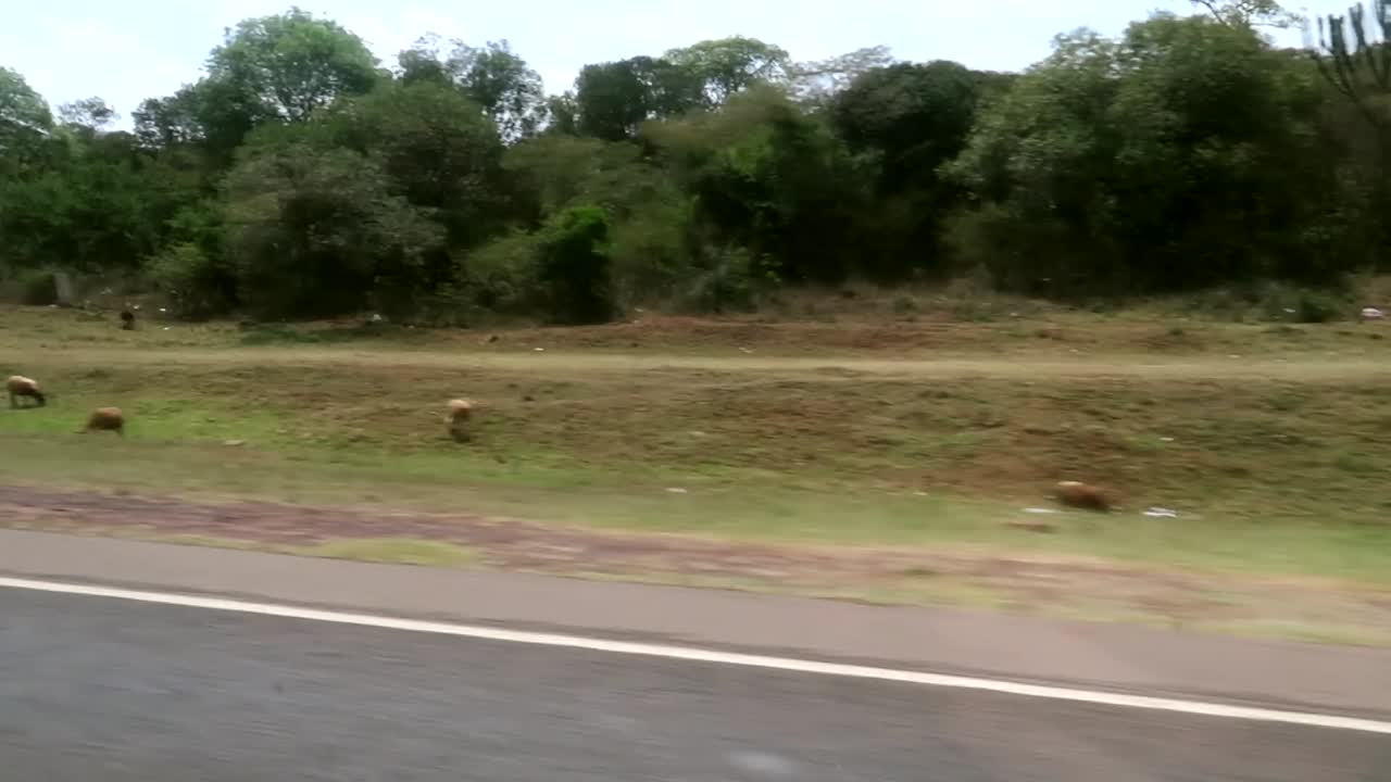 Ripresa a mano dall'interno di un'auto in viaggio verso le Montagne Aberdare da Nairobi.