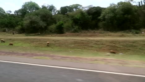 Hand-held-shot-from-inside-a-car-travelling-to-Aberdare-Mountains-from-Nairobi