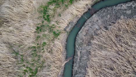 narrow curved river in long grass field, in bergenmeersen, belgium