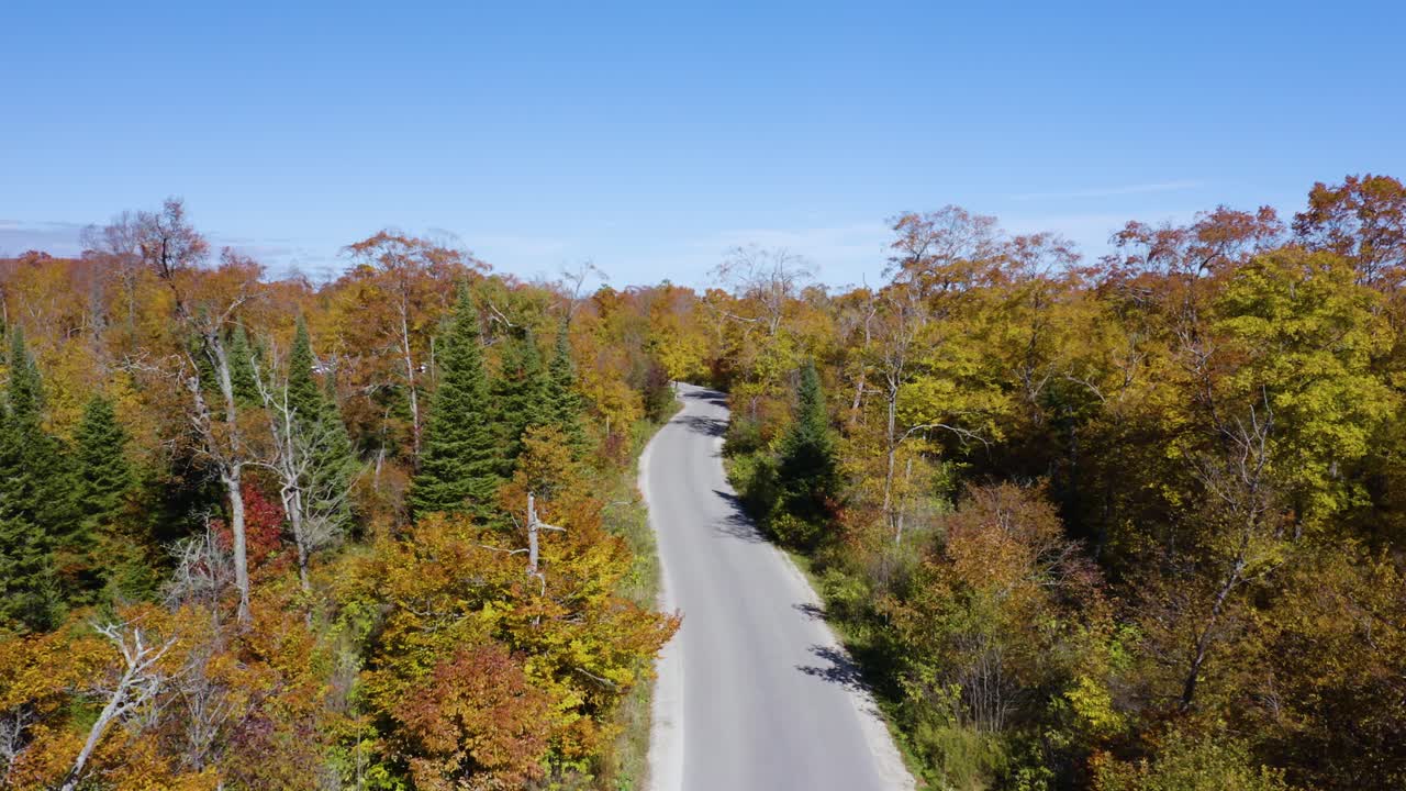 Luftfoto, vej omgivet af farverigt efterårslandskab.