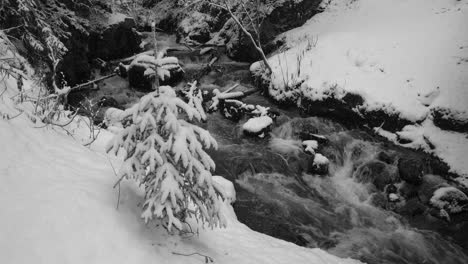 Ein-Kleiner-Bach-Mit-Schneebedeckten-Ufern-Bei-Schneefall-Im-Chugach-State-Park,-Alaska