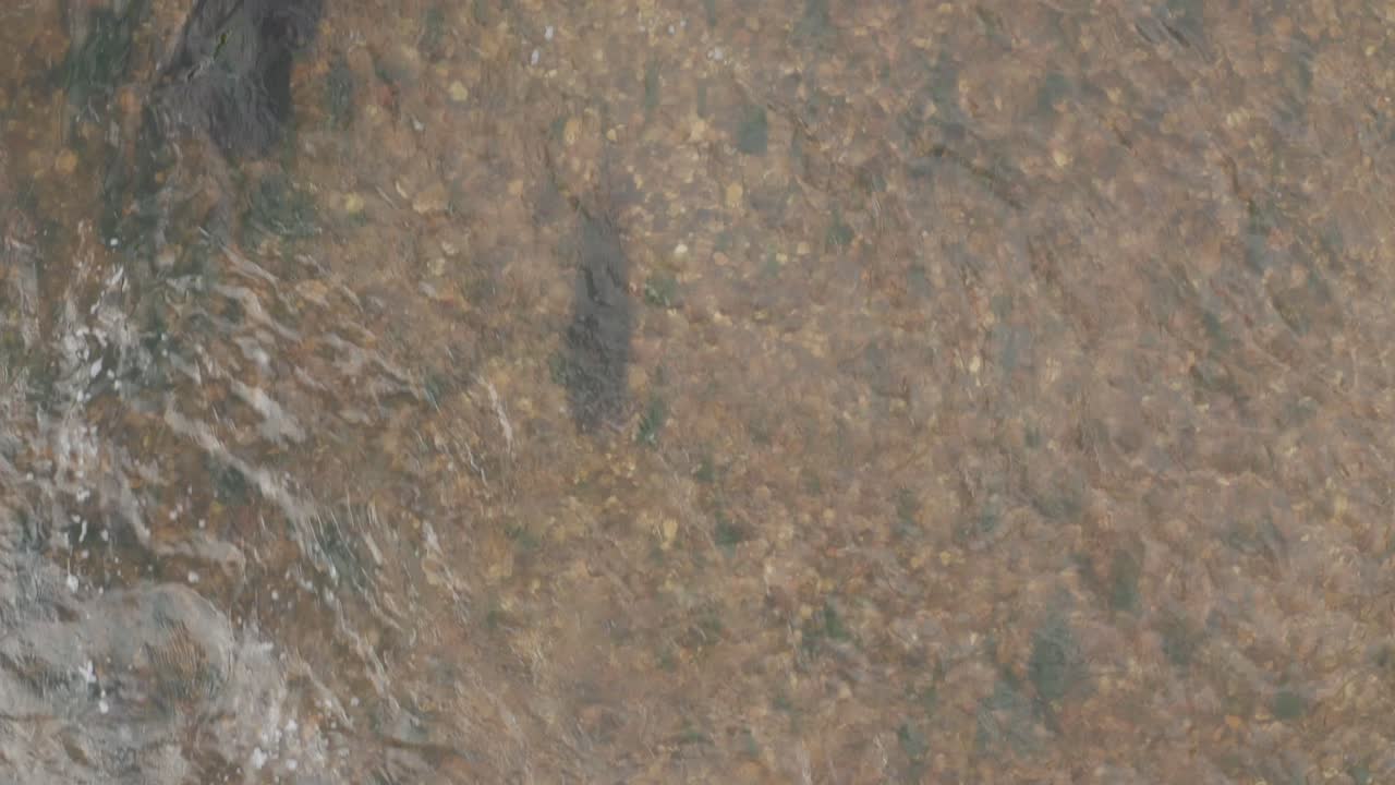 крупный план небольшой реки, вода быстро движется