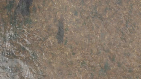 primer plano de un pequeño río, el agua se mueve rápido