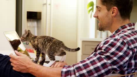 young man showing laptop to his pet cat 4k 4k