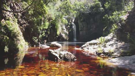 Braun-Und-Rot-Aussehender-Wasserstrahl-Mit-Wasserfall-Im-Hintergrund-Und-Dschungelartiger-Umgebung