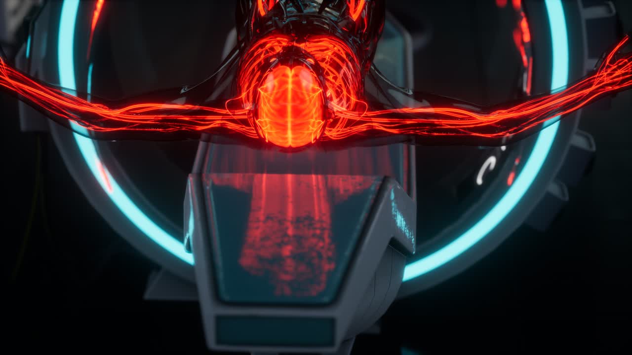 exploración de la anatomía de los vasos sanguíneos humanos