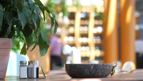 calm and serene restaurant interior