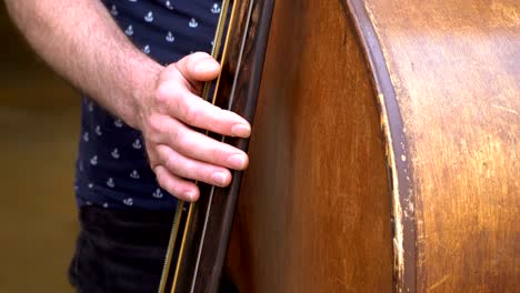 street musican plays beautifully on double bass, contrabass on a summer day.
