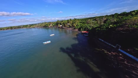 Follaje-Exuberante-En-La-Costa-Del-Mar-Caribe-En-Playa-Palenque-En-San-Cristobal,-Republica-Dominicana