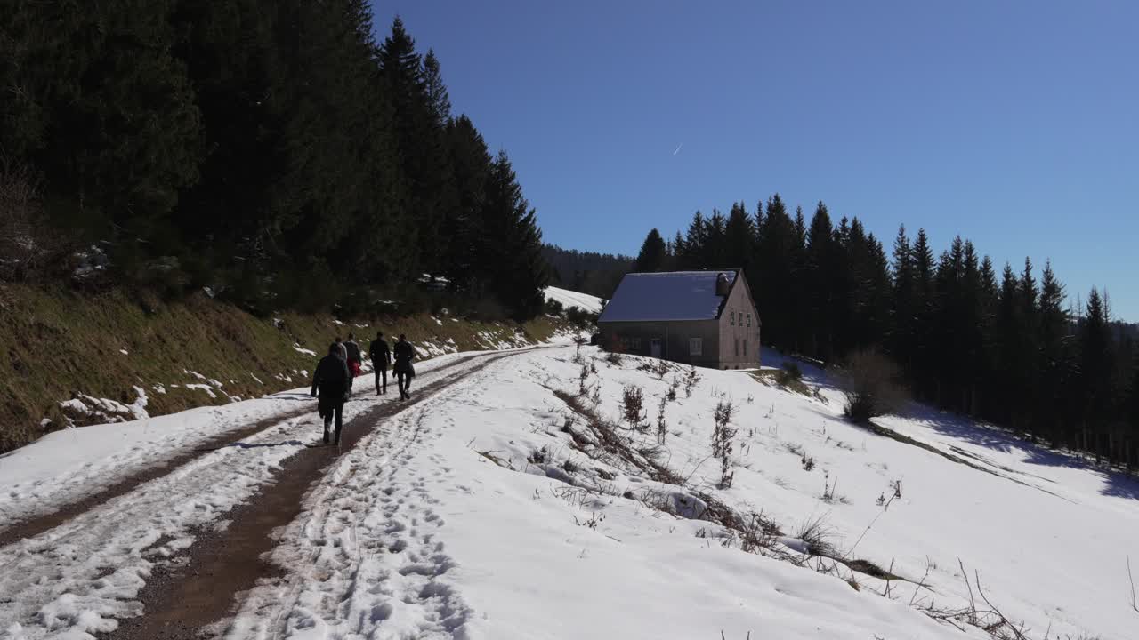 Escursione all'aperto nel massiccio dei Vosgi, Francia, natura invernale, foresta di abeti sempreverdi