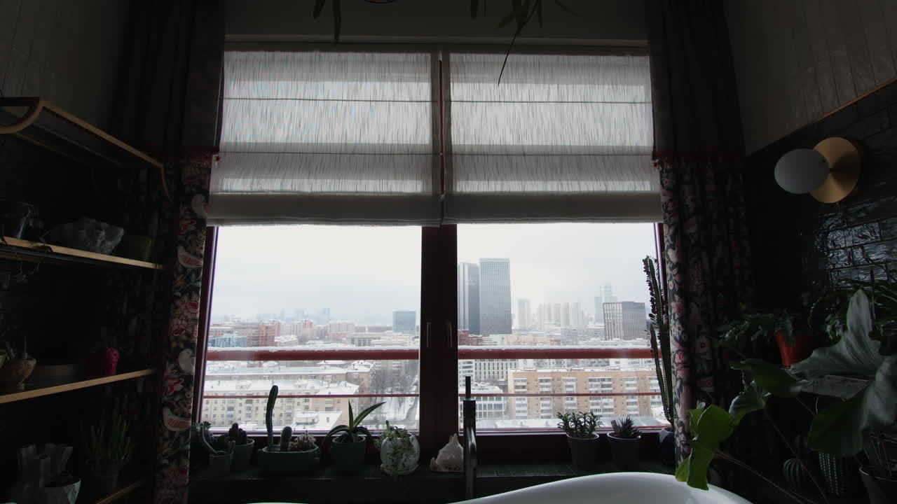 시내 전망이 있는 아한 겨울 화장실