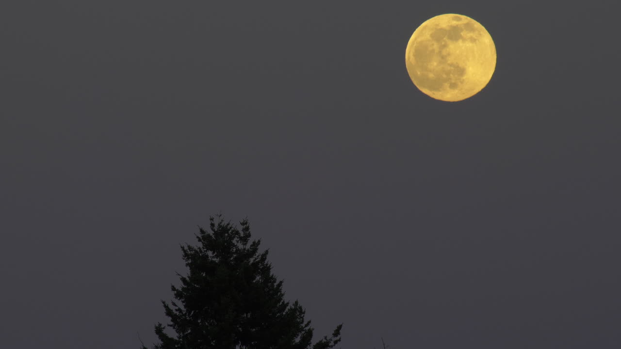 밤에 아름다운 보름달. 정적