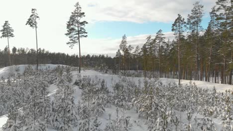 Slow-aerial-over-clearing-in-a-snowy-forest-in-Kurzeme,-Latvia